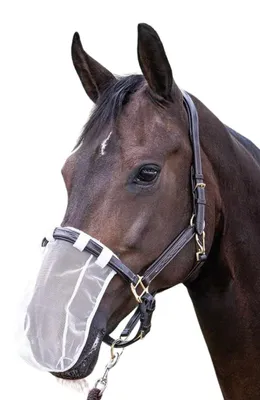 Produktbild von Pferde Nasenfliegenschutz Nüsternschutz Insektenmaulnetz Pony