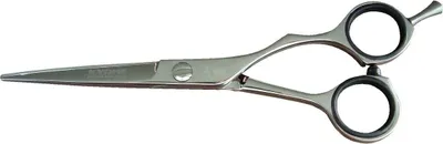 Produktbild von Kyone 480 College Line Schneideschere 5,0  silber