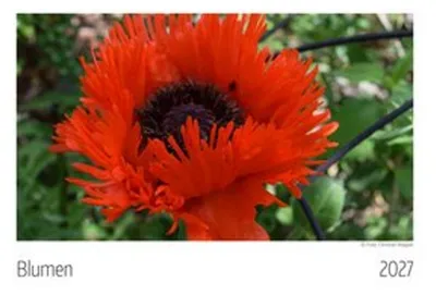 Immagine prodotto di Calendario dei fiori 2027