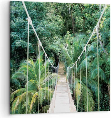 Produktbild von Bild auf Leinwand - Leinwandbild - Einteilig - Tropen Dschungel Brücke - 60x60cm - Wand Bild - Wanddeko - Wandbilder - Leinwanddruck - Bilder - Wanddekoration - Leinwand bilder - AC60x60-4963