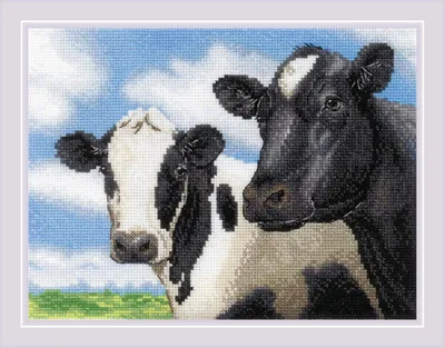 Kreuzstichpaket Kühe, 24,1x17,8 cm, 18 Farben, Aida 14 weiß
