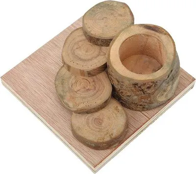 Immagine prodotto di Ciotola in legno e scaletta per criceti, atossica, a prova di leccata, con superficie antiscivolo