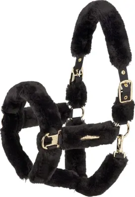 A black fuzzy horse halter with gold-colored hardware, presented against a white background.