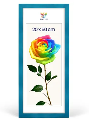 Produktbild von MG Design Bilderrahmen 20 x 50 cm - Posterrahmen mit Türkis Holzrahmen (Echtholz) und bruchsicherem Acrylglas, Hoch & Quer mit stabiler Wandaufhängung