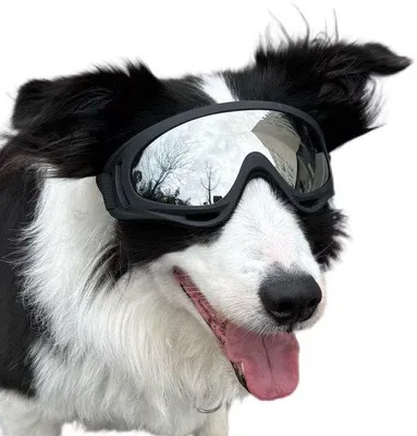 Immagine prodotto di Occhiali da sole per cani di taglia media e grande - occhiali da sole da esterno impermeabili e antivento con elastici regolabili - occhiali da protezione per cani (montatura nera - lenti argentate)