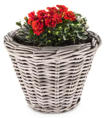 Image de Pot à plantes en rotin, haut et rond, 35 x 25 cm