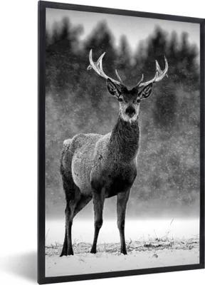 Produktbild von MuchoWow® Gerahmtes Poster Tiere - Hirsche - Winter - Schwarz - Weiß 60x90 cm - Poster mit Schwarzem Bilderrahmen Wandposter Rahmen Foto Bilder - Kunst