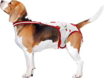 Produktbild von Hundewindeln Für Weibliche Hunde Periode Windeln Welpen Physiologische Höschen Haustier Unterwäsche Waschbare Wiederverwendbare Hosen Mit Verstellbarem Träger Rot Weiß Mittel