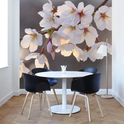 Produktbild von A.S. Création Vlies Fototapete Kirschblüte Weiß Cherry Blossoms DD119174 Baum