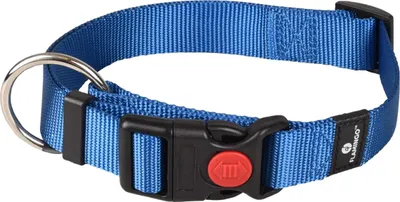 Image de Collier Flamingo Ziggi bleu, taille : L