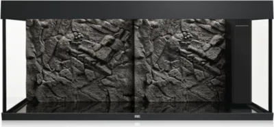 A product shot of a terrarium background.