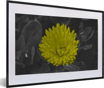 Produktbild von MuchoWow® Gerahmtes Poster Blumen - Aquarell - Löwenzahn 60x40 cm - Poster mit Schwarzem Bilderrahmen Wandposter Rahmen Foto Bilder - Schlafzimmer - Plakat in Rahmen - Drucken