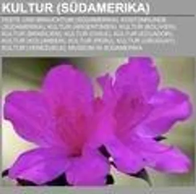 Produktbild von Kultur (Südamerika)