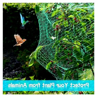 Produktbild von Gemüseschutznetz 2x10M, Vogelschutz- und Insektenschutznetz für den Garten