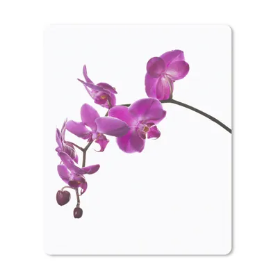 Produktbild von MuchoWow® Mauspad Mousepad Orchidee vor weißem Hintergrund 30x40 cm - Mousepads - Maus Mat - Pad - Mausunterlage - Mausmatten