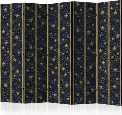 Produktbild von 5-teiliger Einseitiger Vlies Paravent - Lace Constellation II 225x172 cm Muster f-C-0009-z-c