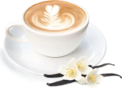 Obrázek produktu pro Bourbon Vanilla Cappuccino v prášku 500g