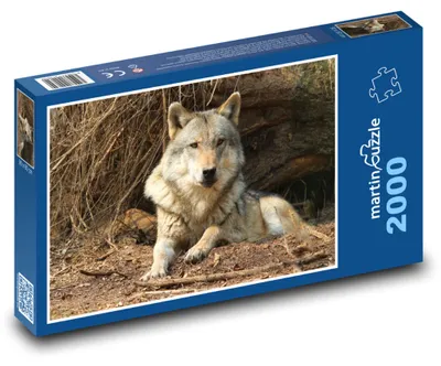 Obrázok produktu pre Puzzle 2000 Vlk v divočine - martinpuzzle