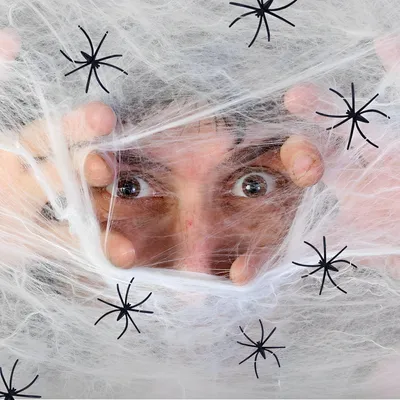 Halloween-Spinnennetz 200 g mit 40 Kunstspinnen, dehnbar