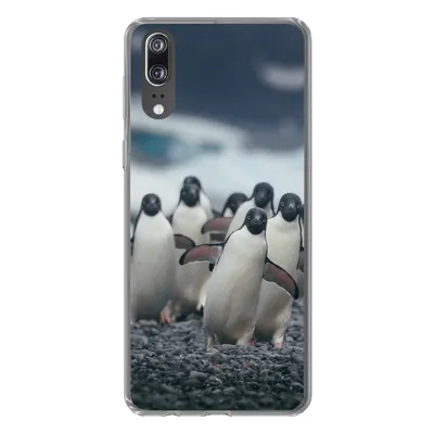 Produktbild von MuchoWow® Handyhülle Schutzhülle Hülle für Huawei P20 Adeliepinguine am Strand Silikon Softcase Handy Hülle - Hardcover