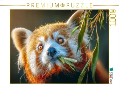Produktbild von CALVENDO Puzzle Dies ist die Lieblingsspeise | 1000 Teile Lege-Größe 64x48cm Foto-Puzzle für glückliche Stunden