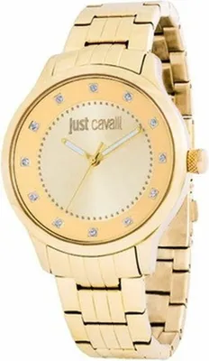Obrázek produktu pro Just Cavalli Uhr Time Modell R7253127530