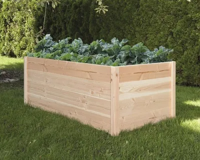 A wooden raised garden bed filled with green plants, situated on a lawn with a backdrop of green bushes.