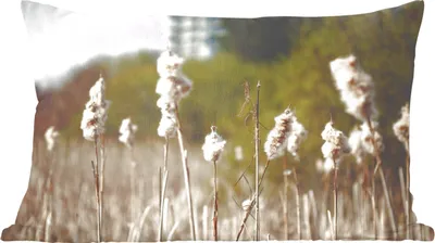 Produktbild von MuchoWow® Zierkissen Sofakissen Wohnzimmer Dekokissen 50x30 cm Baumwolle - Sonne - Pflanzen - Wohnzimmerdekoration - Polster mit Photo
