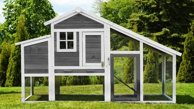 Produktbild von MyAnimal Hühnerstall MH-32 | Für 4 Hühner - Hühnerhaus Zweistöckig  - 2 Sitzstangen  -  Nistkasten - Eiablage - Freilaufgehege (Grau/Weiß 2.0)