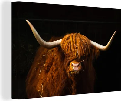 Produktbild von MuchoWow® - Leinwandbilder - Schottischer Highlander - Makro - Schwarz, Wandbild, Wanddeko Bilder Wohnzimmer, 120x80 cm