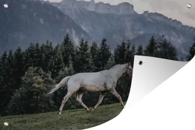 Produktbild von MuchoWow®