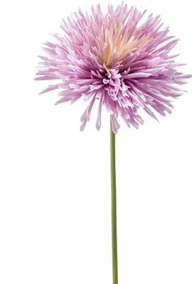 Produktbild von künstliche Chrysantheme lila H. 58cm Emerald Kunstblumen WA