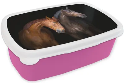 Produktbild von KitchenYeah® Lunchbox Brotzeit Brotdose 17x11 cm Pferde - Tiere - Porträt - Braun Kinder Brotzeitdose - Lunchpaket - Brotkasten  - Sandwich Box