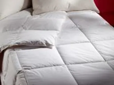 Produktbild von Daunenbettdecke 200x200 Winter Steppbett 90% Daune 1860g