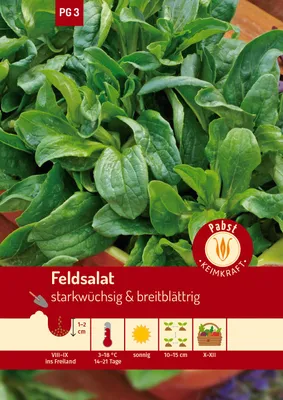 Artikelbild 1 von 'Feldsalat Holländischer breitblättriger' aus der Kategorie Feldsalatsamen