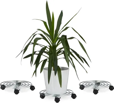 Produktbild von relaxdays 3 x Pflanzenroller mit Bremse