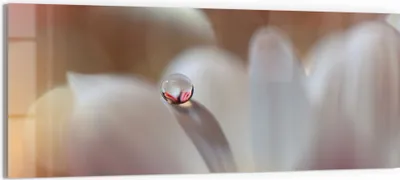 Produktbild von DEQORI Glasbild Echtglas 125x50 cm 'Tropfen der Stille' Wandbild Bild modern Deko