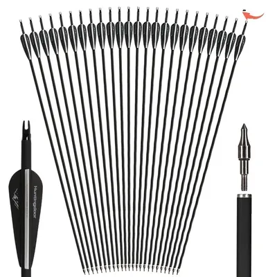 Produktbild von Kohlenstoffpfeile, 30 Zoll, 500 Wirbelsäule, 24 Stück Schwarz