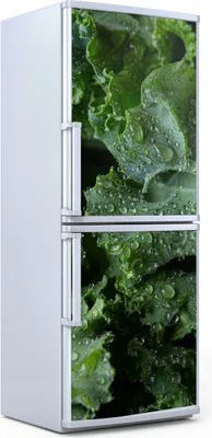 Produktbild von Kühlschrankdekoration  60x180 cm  Aufkleber auf dem Kühlschrank - Salat Blätter