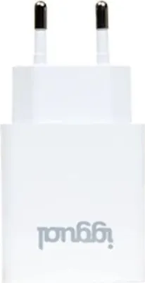 Immagine prodotto di Caricatore da parete iggual IGG318317 30 W