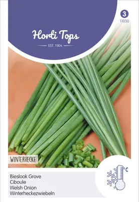 Produktbild von Winterheckezwiebeln | Zwiebelsamen von Hortitops