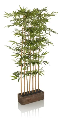 Obrázok produktu pre hjh OFFICE Umelá rastlina BAMBUS I Umelá rastlina bambus Výška 150,0 cm Dekorácie