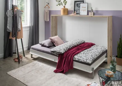 Produktbild von Klappbett "Juist" Weiß und Eiche San Remo 120 x 200 cm Liegefläche Schrankbett klappbar von Wimex, Kinderzimmer, Jugendzimmer