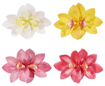 Image de Lot de 4 épingles à cheveux en forme de fleurs hawaïennes pour femmes