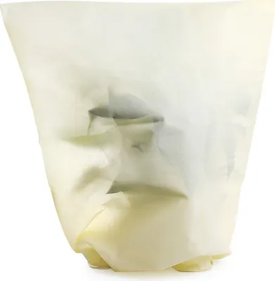 Produktbild von Toboli 2x Winterschutz für Pflanzen 80 x 100 cm, 70 g/m² Frostschutz aus Vlies, Pflanzenschutzhaube für Winter, UV-beständig, waschbar, mit Kordel