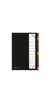 Produktbild von PAGNA Ordnungsmappe Deskorganizer 44133-04 DIN A4 12Fächer schwarz