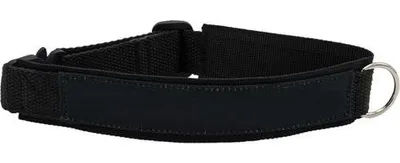 Produktbild von Cobrahalsband verstellbar 4cm breit