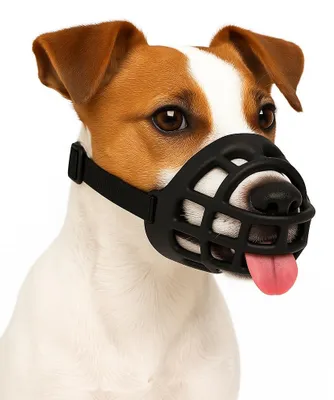 Produktbild von Flamingo Maulkorb Benzo S - Weiches Silikon Maulkorb für kleine Hunde, verstellb