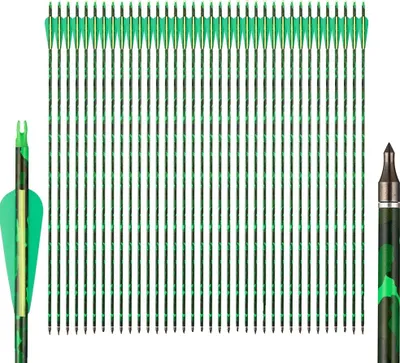 Immagine prodotto di Frecce per tiro con l'arco, aste in carbonio, punta in acciaio, 36 pezzi - verde