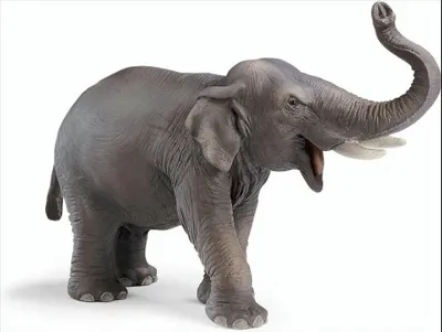 Obrázek produktu pro Schleich 14144 - Asijský sloní býk